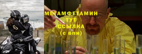 сатива Вяземский