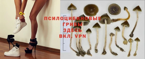 сатива Вяземский