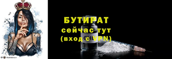 сатива Вяземский