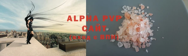 сатива Вяземский