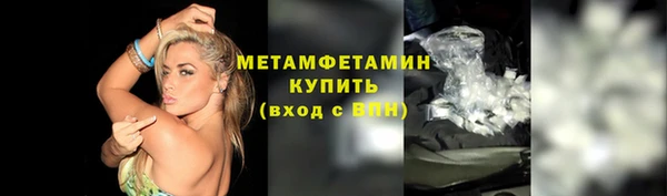 сатива Вяземский