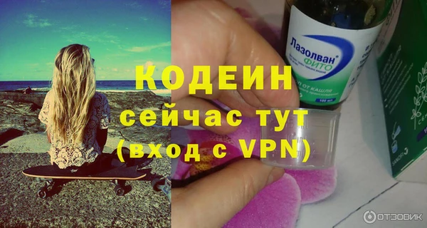 сатива Вяземский