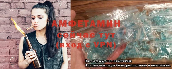 сатива Вяземский