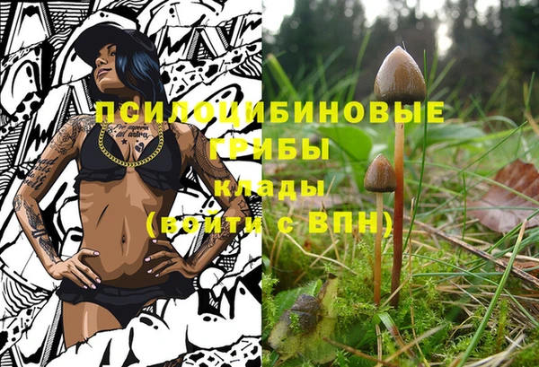 jwh Вязьма